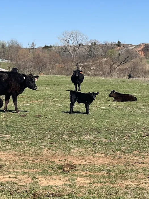 Duncan's Grove R.V. Park Picture 6