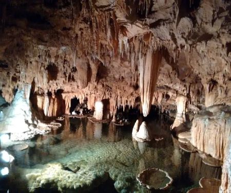 Timbercrest RV & Mobile Home