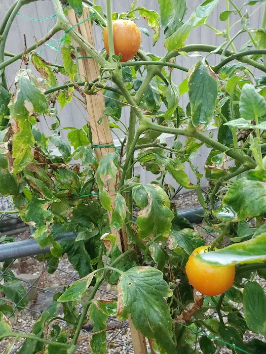 Timbercrest RV & Mobile Home Picture 5