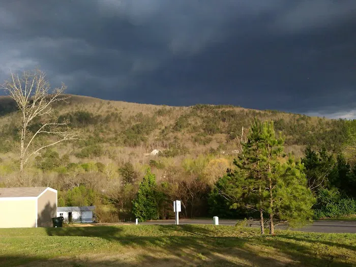 Lake Hamilton Estates Picture 6