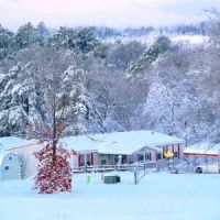 Lake Hamilton Estates ico