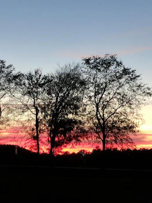 Golden's Riverside RV Park Picture 9