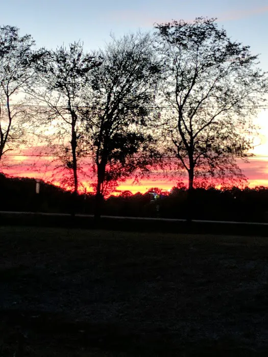 Golden's Riverside RV Park Picture 8