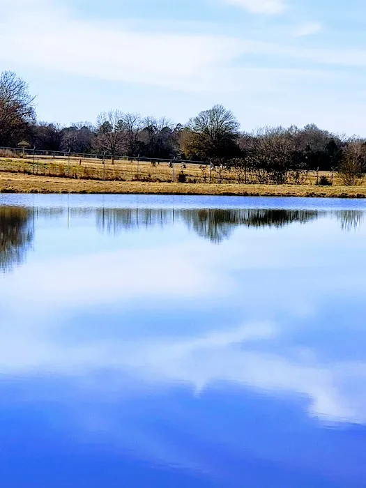 Fort Chaffee RV Park Picture 6