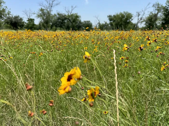 Sundance RV Park Picture 6