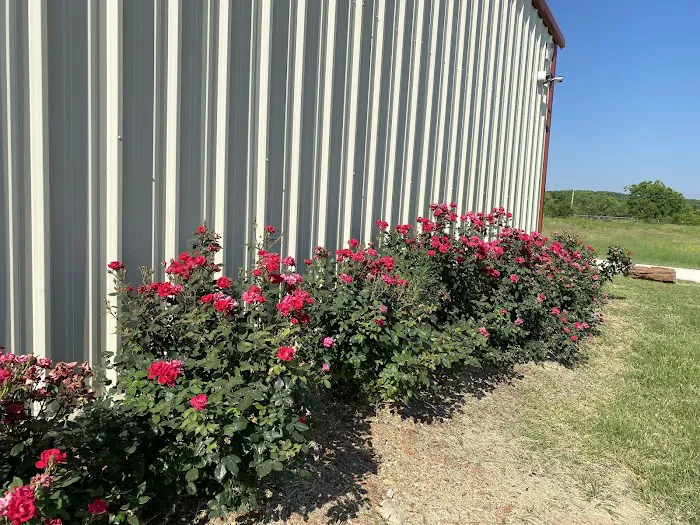 Sundance RV Park Picture 8