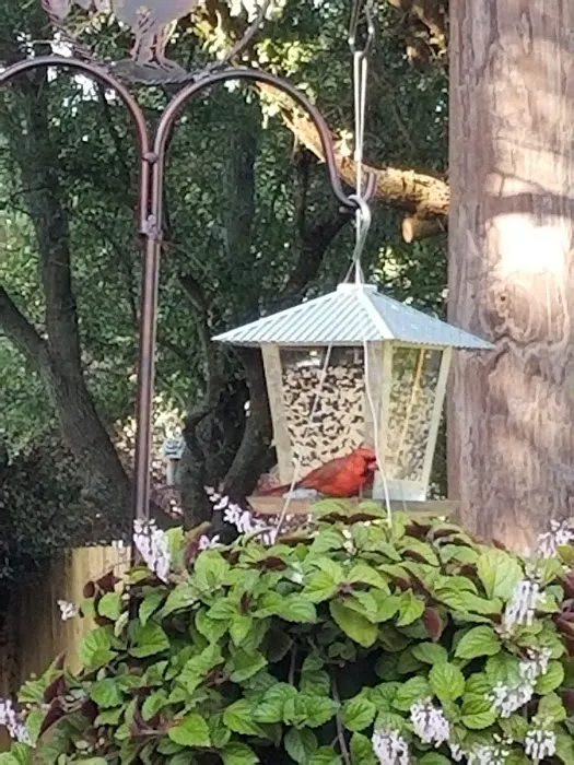 Gentle Breeze RV Community Picture 5