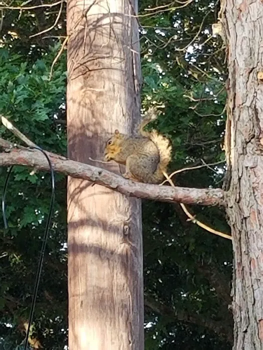 Gentle Breeze RV Community Picture 6