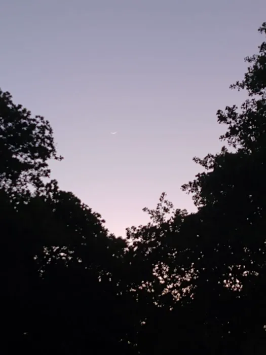 White's RV Park Picture 7