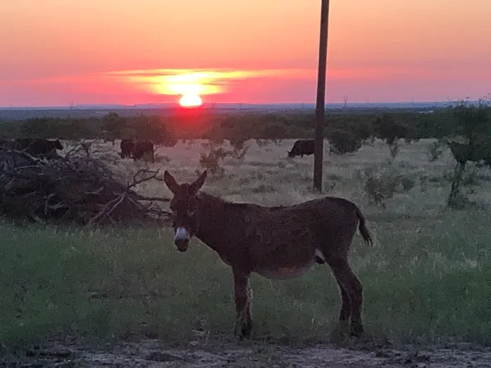 Double B RV Park Picture 4