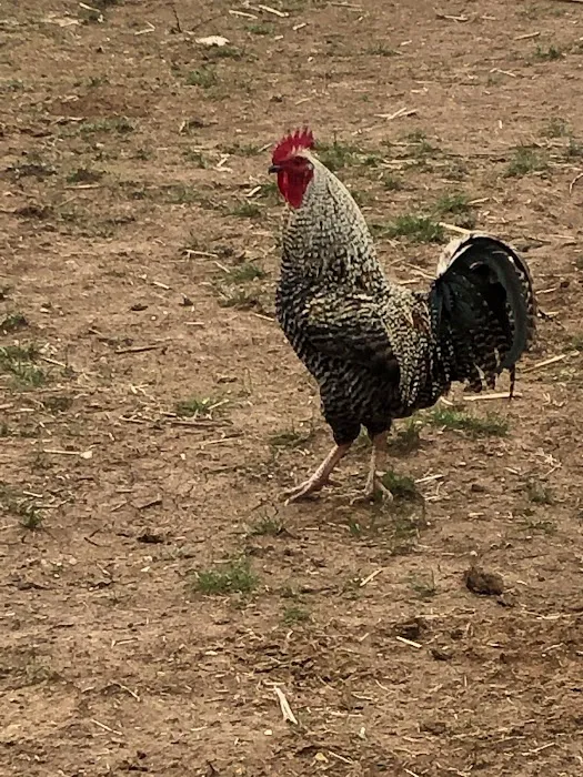 Double B RV Park Picture 7