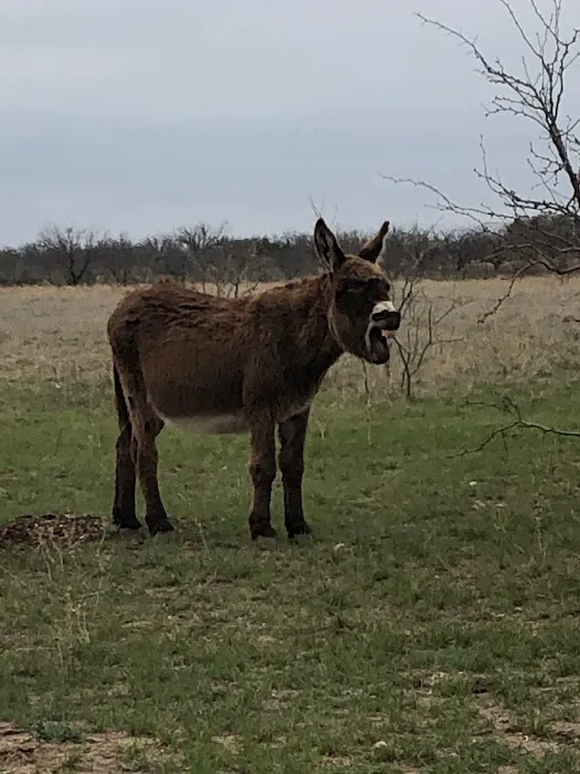 Double B RV Park Picture 8