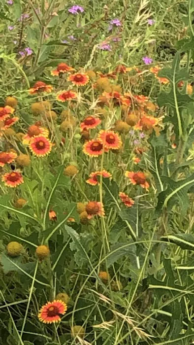 Double B RV Park Picture 10