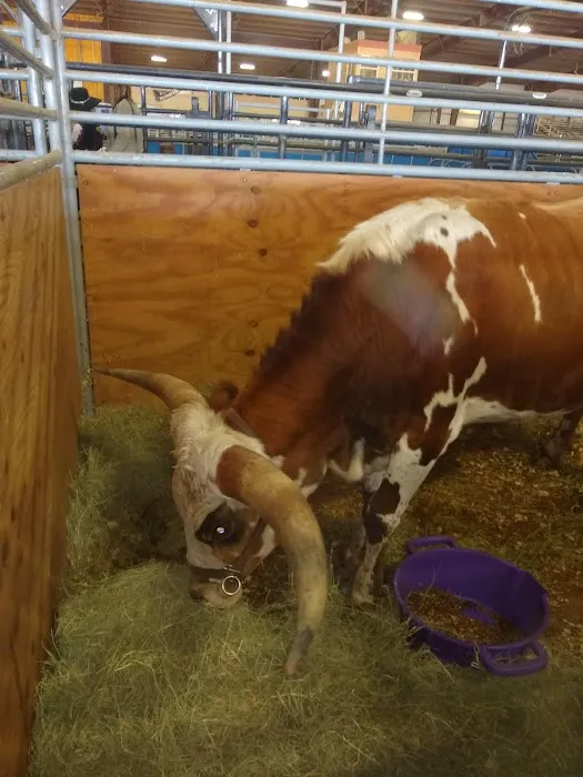 Riverway RV Park Picture 8