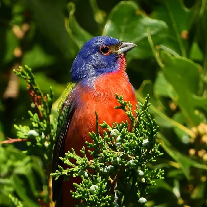 Riverway RV Park Picture 9