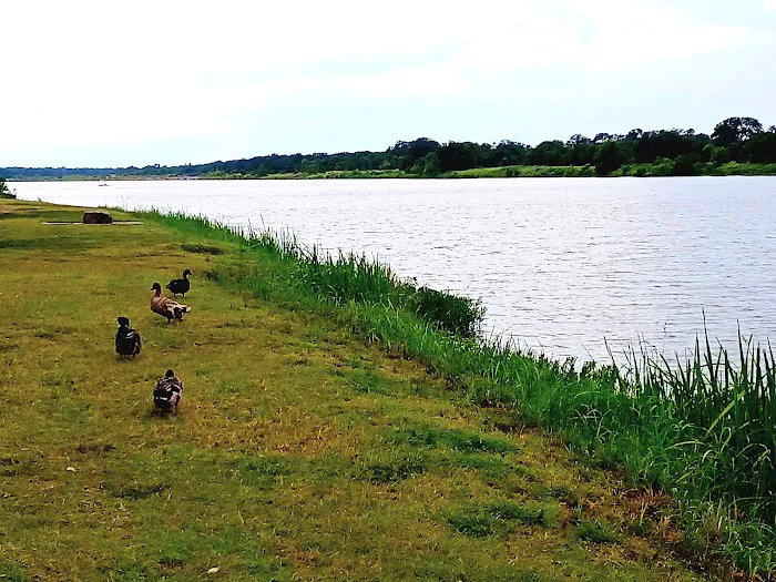 Llano City Rv Park Picture 5