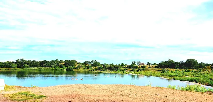 Llano City Rv Park Picture 9