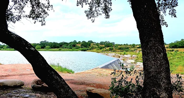 Llano City Rv Park Picture 10