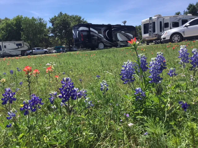 Roadrunner RV Park Picture 3