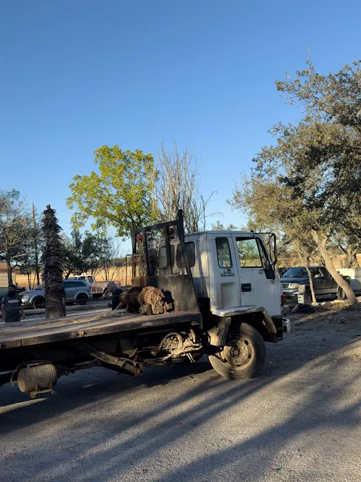 Shady Oaks RV Resort Picture 9