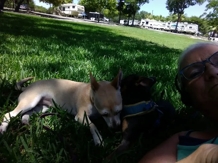 Shady Oaks RV Resort Picture 8