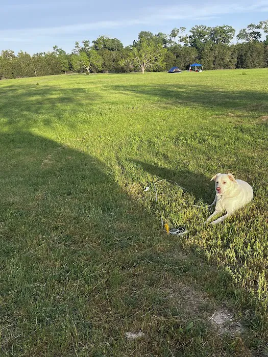 Yeager Creek RV Resort Picture 3