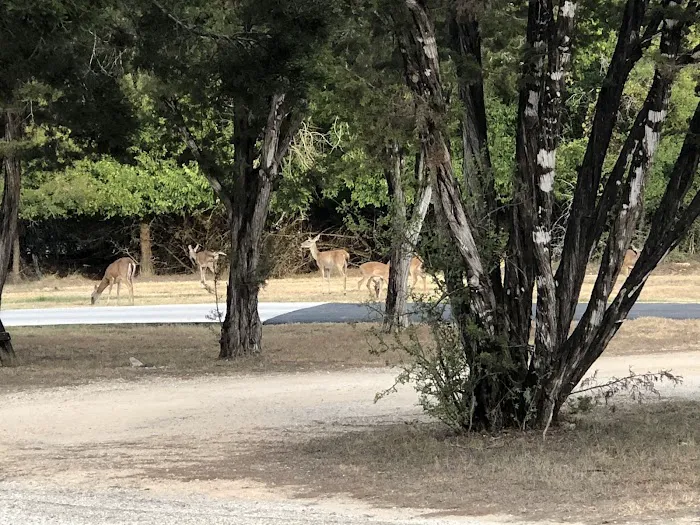 Green Acres RV Park Picture 7