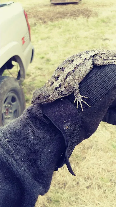 Priddy Meadow RV Park Picture 6