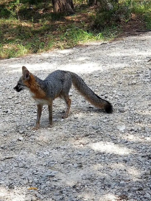 Priddy Meadow RV Park Picture 5