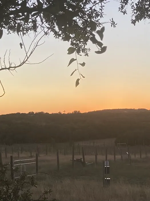 Vineyard View RV Park Picture 3