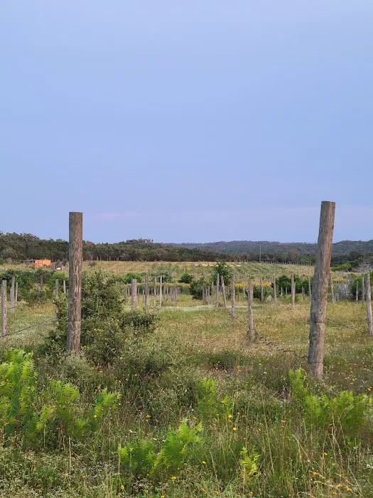 Vineyard View RV Park Picture 4