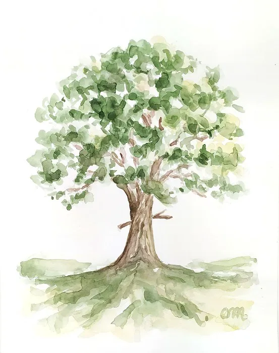 Pierced Oak RV Park Picture 4