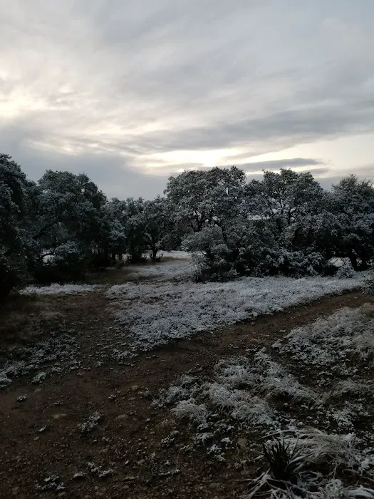 River Oaks RV Ranch Picture 9