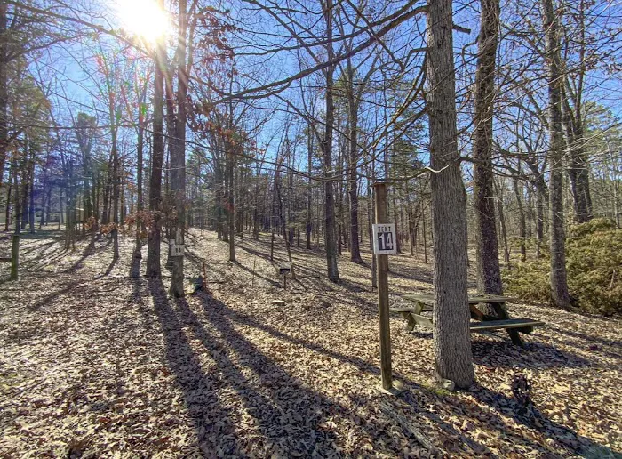 Davenport RV Park Picture 4