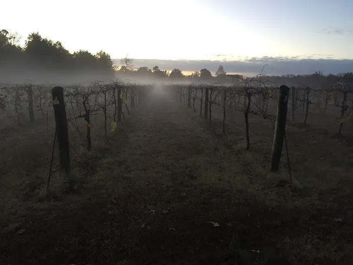 Grape Country RV Park Picture 2