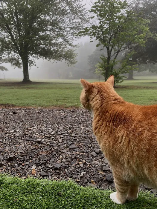 Grape Country RV Park Picture 10