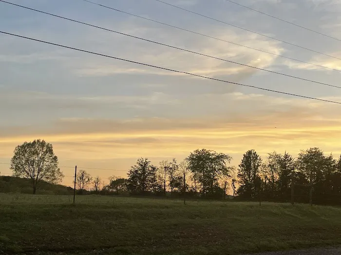 Wine Capital RV Park Picture 9