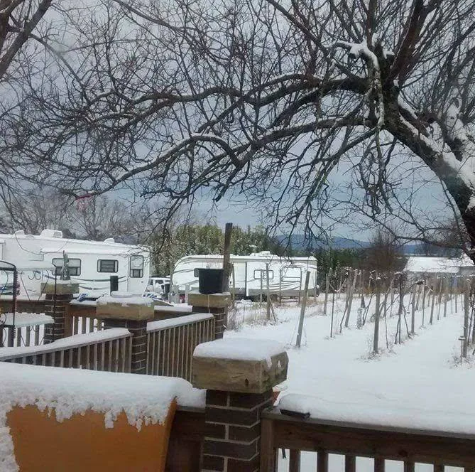 Primrose Farm RV & Camping Picture 4