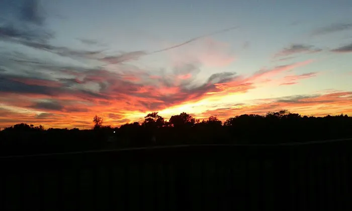 Primrose Farm RV & Camping Picture 2