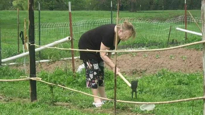 Primrose Farm RV & Camping Picture 5