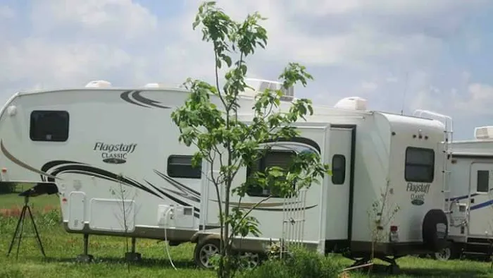 Primrose Farm RV & Camping Picture 8