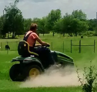 Primrose Farm RV & Camping Picture 7