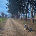 The Crossroads Mobile Home & RV Park