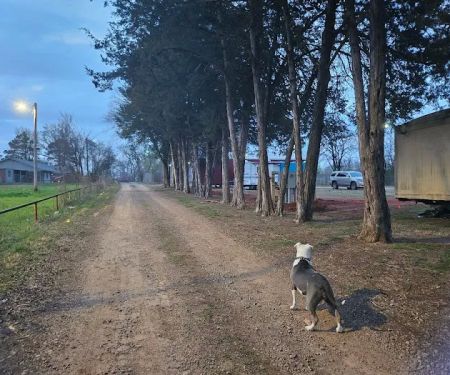 The Crossroads Mobile Home & RV Park