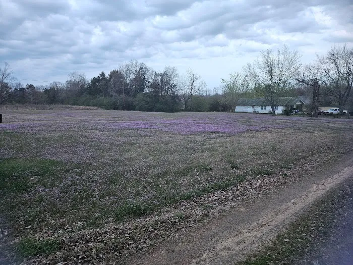 The Crossroads Mobile Home & RV Park Picture 6