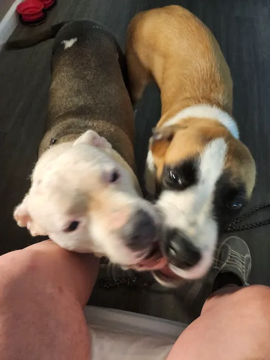 The Crossroads Mobile Home & RV Park Picture 10