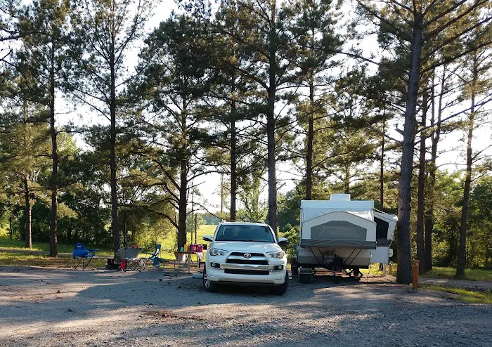 Dan's Riverview RV Park Picture 5