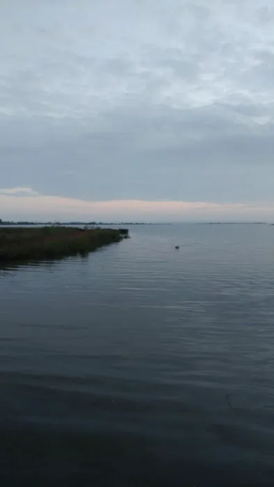 Almost Paradise RV Park LLC Picture 5