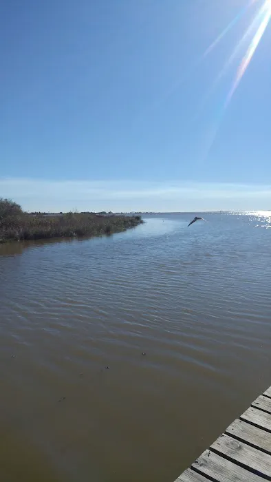 Almost Paradise RV Park LLC Picture 6