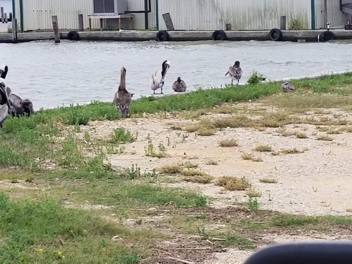 Almost Paradise RV Park LLC Picture 7